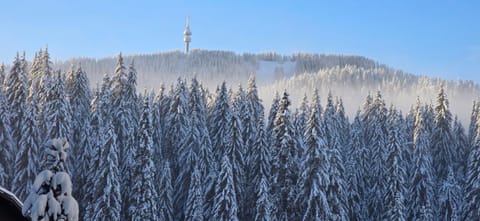 Forest Dreams Apartment in Decentralized Administration of Macedonia and Thrace