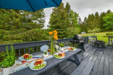 Catskills Mountain Casita Ski, Hike, Fish and Golf! House in Capital District, NY, USA