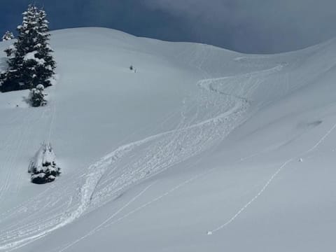 Bed & Breakfast Cari a bordo pista Bed and Breakfast in Canton of Ticino