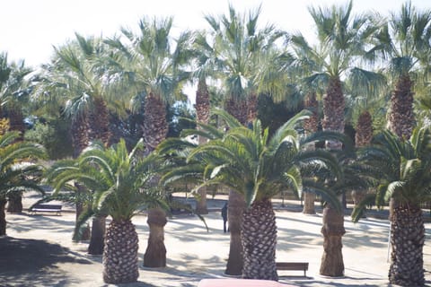 Garden view, Sea view