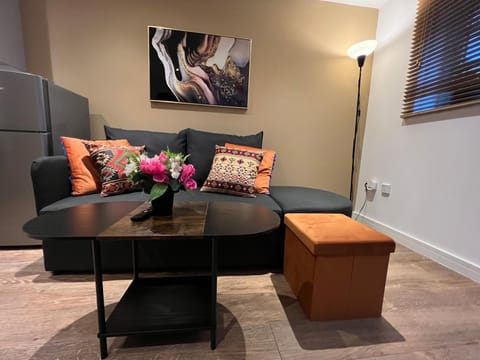 Glastonbury Mystic Vault, 1 BD Apt Split Level Apartment in Glastonbury