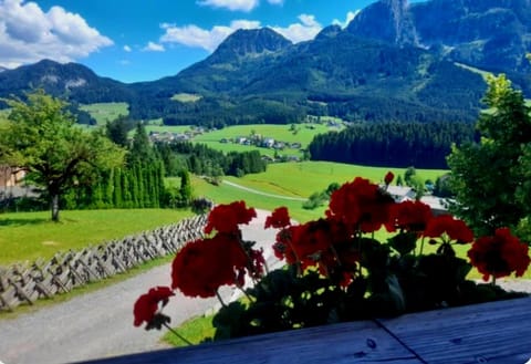 Natural landscape