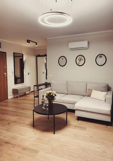 Living room, Photo of the whole room, air conditioner