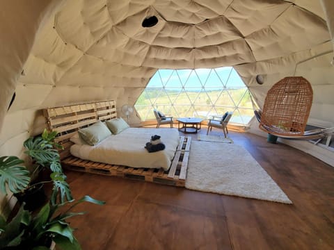 2 Waipu Thunder Domes Eco Off-grid Luxury Glamping Seaview Dome Luxury tent in Auckland Region
