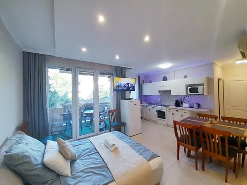 TV and multimedia, Kitchen or kitchenette, Living room, Seating area, Dining area, oven, pet friendly, stove, toaster