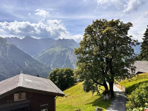 Revier mon désir House in St. Gallen, Switzerland