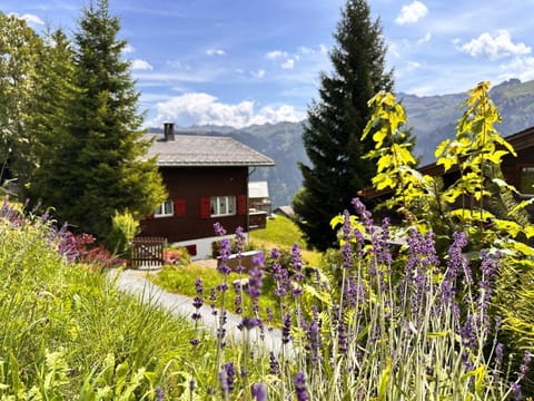 Revier mon désir House in St. Gallen, Switzerland