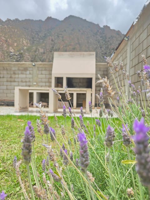 Spring, Natural landscape, Garden, Garden view