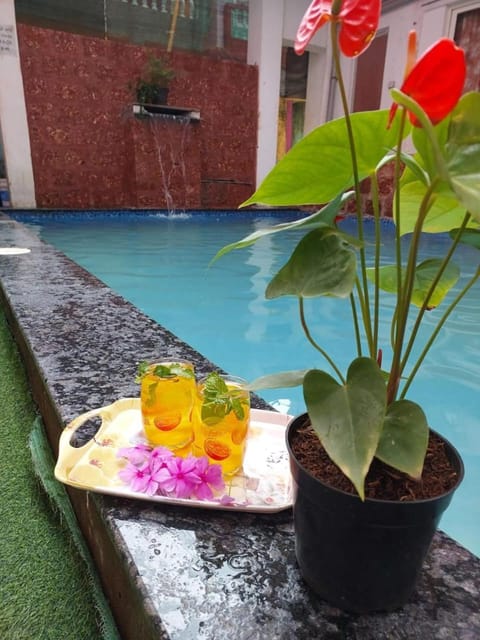 Swimming pool, Swimming pool