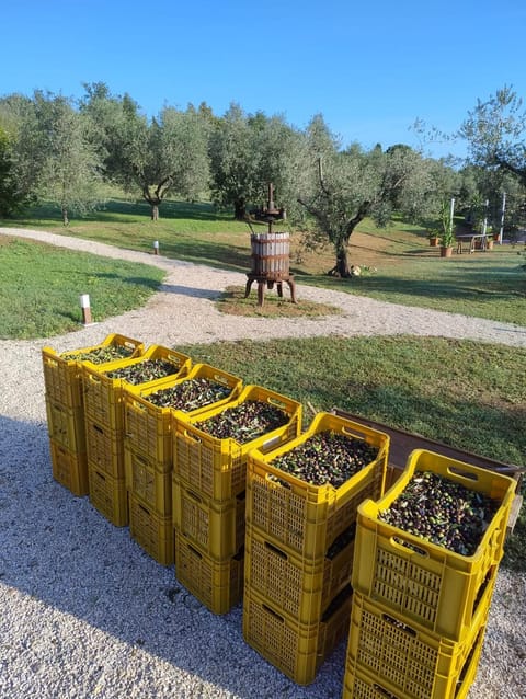Agriturismo Frutti Antichi - Melograno Apartment in Marche