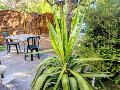 Patio, Balcony/Terrace