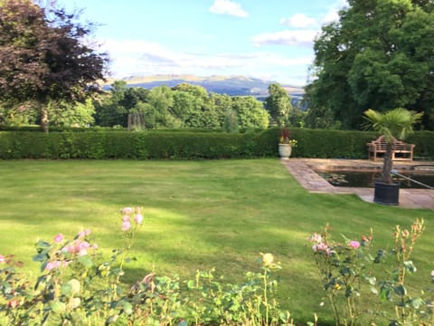 Natural landscape, Garden view, Landmark view