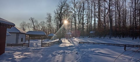 Brusnica Konaci House in Serbia