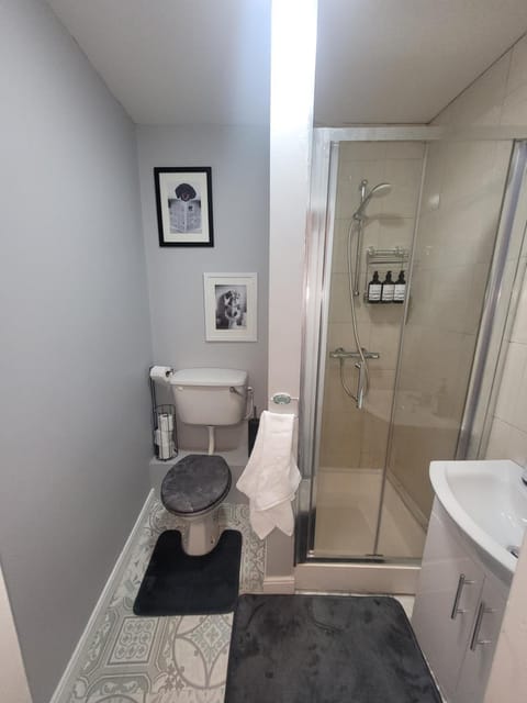 Quirky Tiny Apartment in Kerry Apartment in Tralee