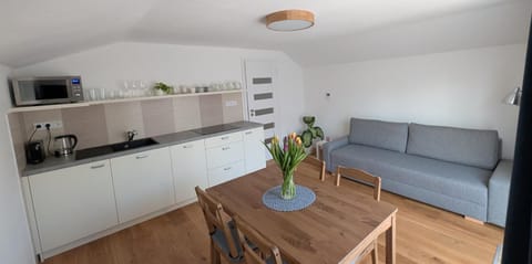 Living room, Dining area, kitchen