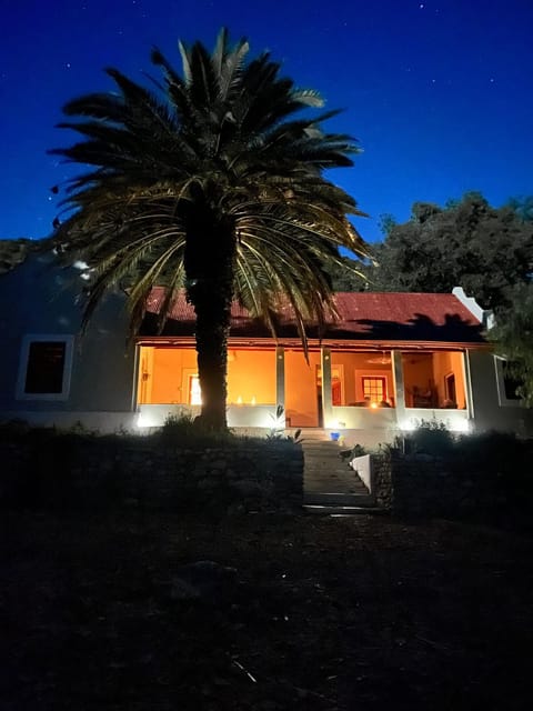 Property building, Night, Garden, Garden view