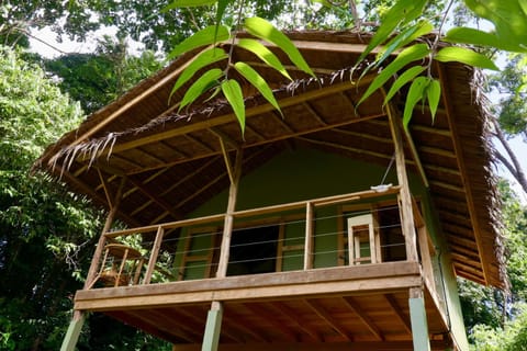 Property building, Patio, Natural landscape, Balcony/Terrace