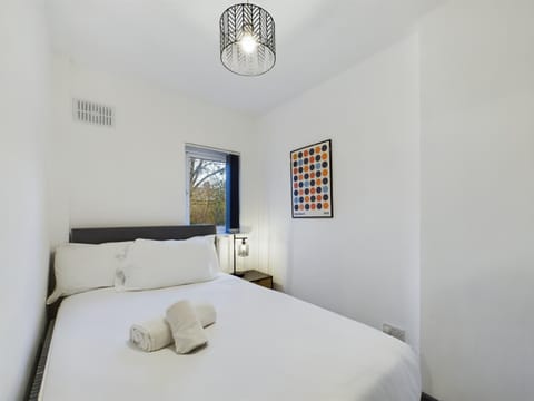 Cozy 2 Bedroom House Near bustling Lisburn Road Apartment in Belfast