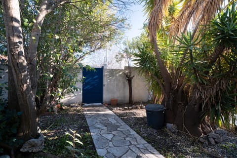 Villa Arbre de Vie House in Hyères