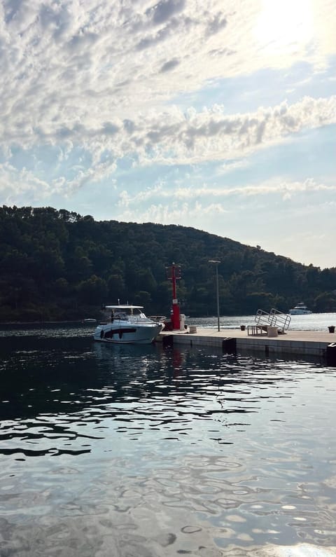 Day, Natural landscape