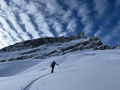 Capetta Appartement Hotel in Canton of Grisons