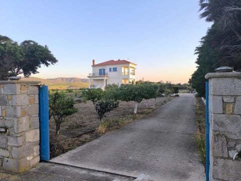 Property view