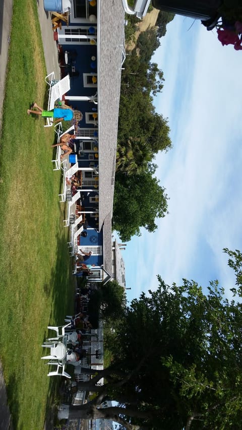 Day, Garden, group of guests