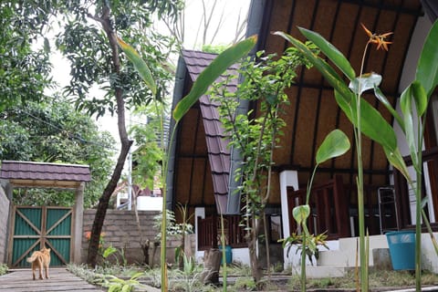 Property building, Garden, Garden view