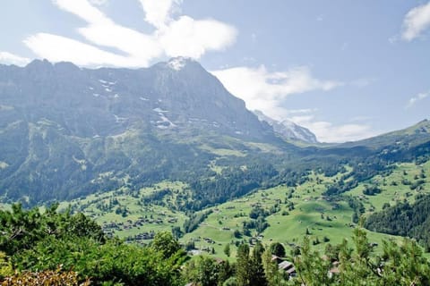 Natural landscape, Mountain view