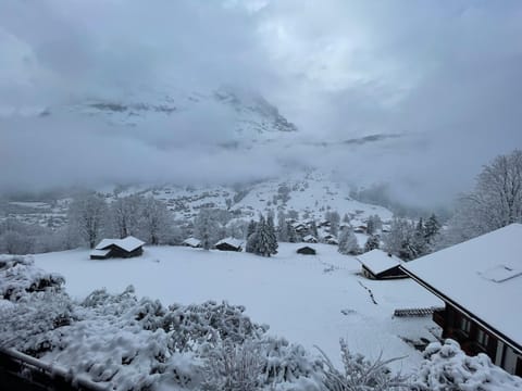 Chalet Heimat Chalet in Grindelwald