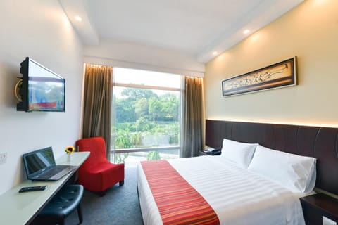Bed, TV and multimedia, Photo of the whole room