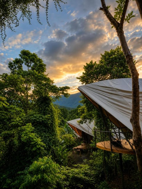 Natural landscape, Sunset