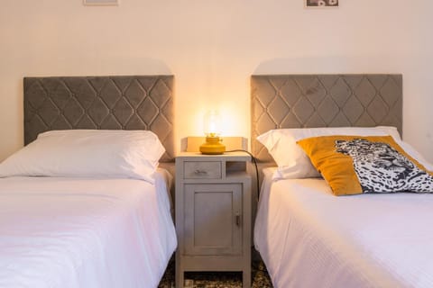 Windrose The Cat Apartment in Pisa