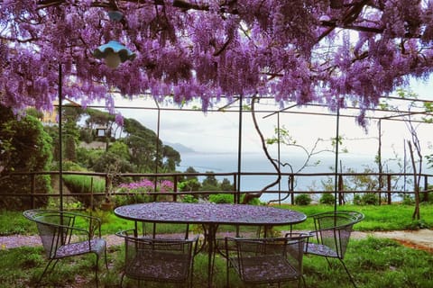 Spring, Garden, Garden view