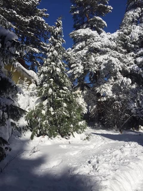 Day, Natural landscape, Winter, Inner courtyard view