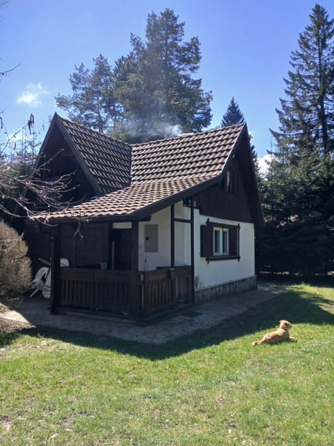 Spring, View (from property/room), Garden view