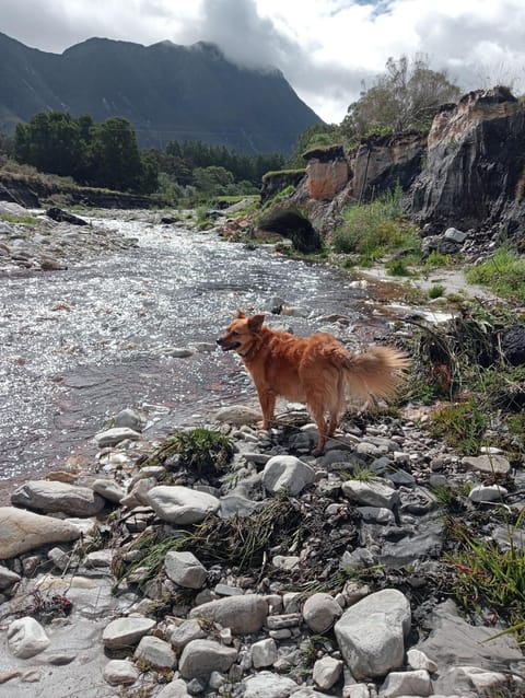 3 Jongens Villa House in Western Cape