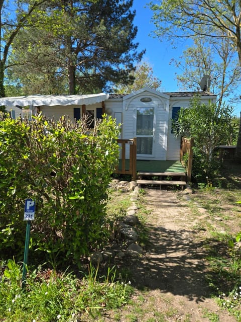 Natural landscape, Garden