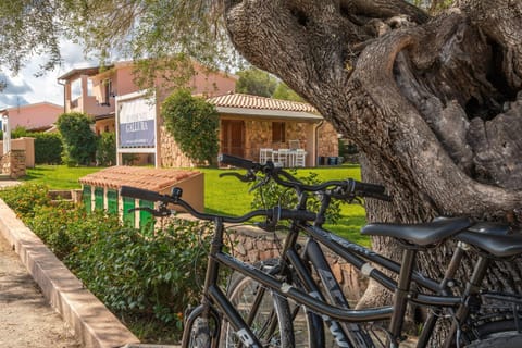 Property building, Spring, Winter, Summer, Garden, Autumn