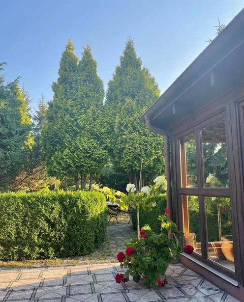 Spring, Day, Garden, Garden, Balcony/Terrace, Garden view