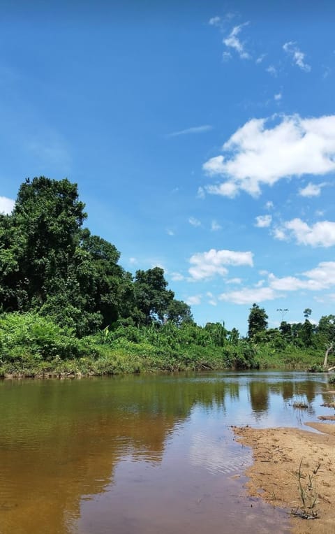 casa da mata House in State of Rio de Janeiro