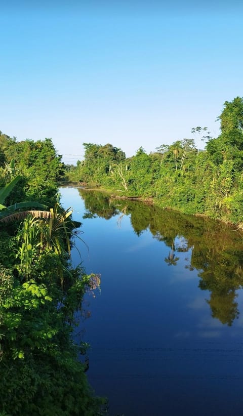 casa da mata House in State of Rio de Janeiro