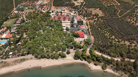Day, Natural landscape, Bird's eye view, Beach, Sea view, Street view