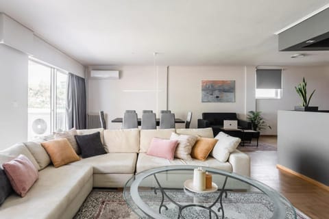 Spacious and sunlit seaside flat Apartment in Alimos