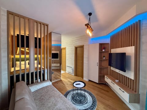Communal lounge/ TV room, Bed, TV and multimedia, Living room, Photo of the whole room, Seating area, Bedroom