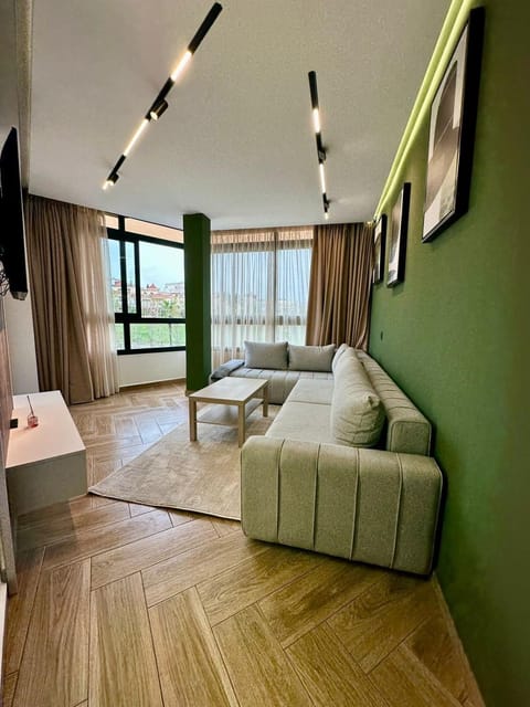 Living room, Photo of the whole room, Seating area