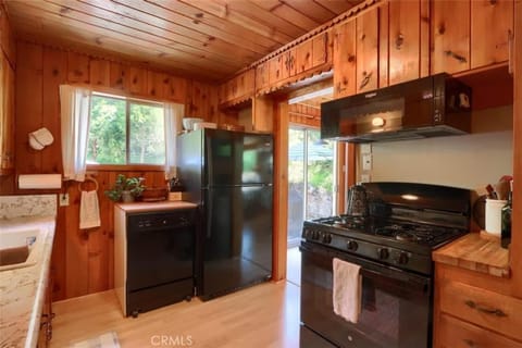 Lake View Cabin Private Dock Free Night Special Cabin in Bass Lake