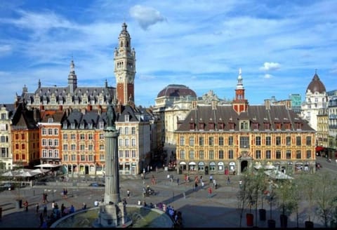 SUPER PLAN Charmant appartement centre ville Gare LILLE FLANDRES 4 pers Apartment in Lille