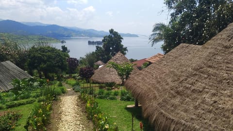 Lake view