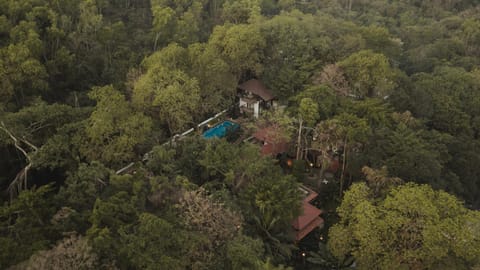 Natural landscape, Bird's eye view